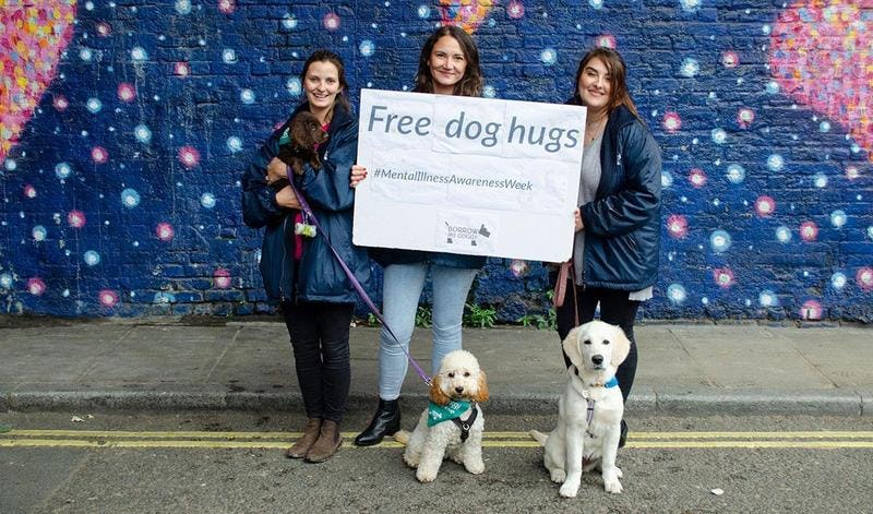 World Mental Health Day and free dog hugs