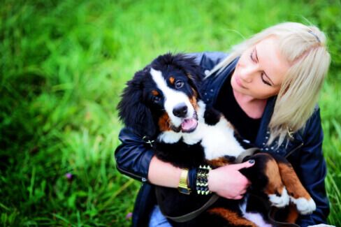 Text to speech not available for this image