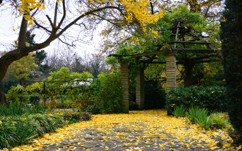 Peckham Rye Park, London - Photo by Jay Tijani on Unsplash