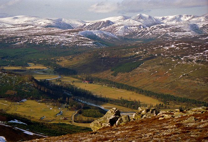 By Alan Findlay, CC BY-SA 2.0, https://commons.wikimedia.org/w/index.php?curid=14563805