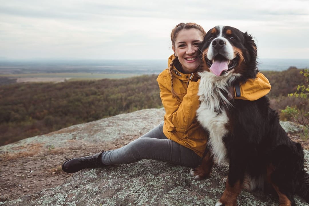 A happy Bernese Mountain Dog and a happy student borrower, sitting on top of a large rock on a cloudy day, resting after an enjoyable hike!