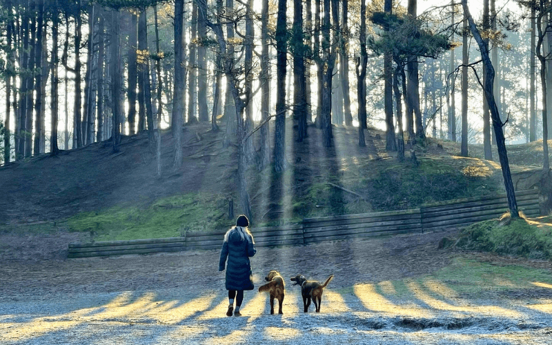 Formby Nature Reserve, Liverpool - Photo by Alex Gheorghiu on Unsplash