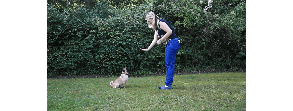 Text to speech not available for this image