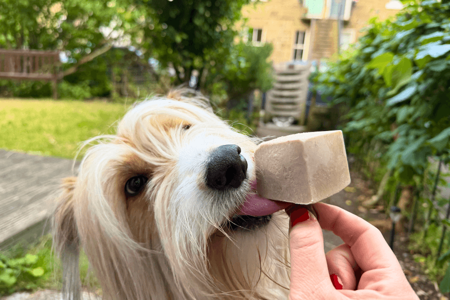 Doggy Ice Cream Recipaw