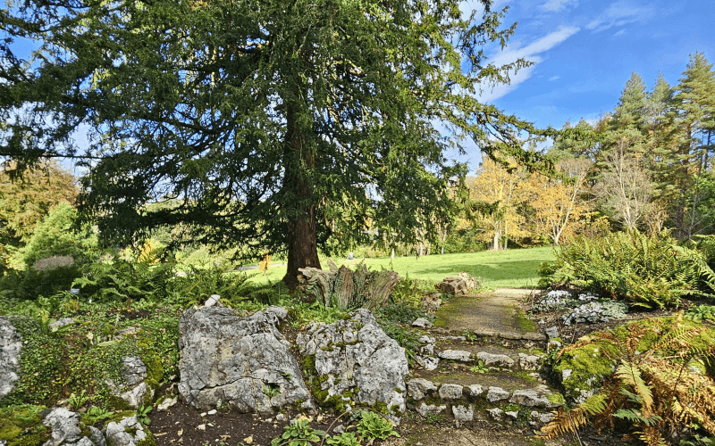 Dyffryn Gardens, Photo by Lisa Copner on Unsplash