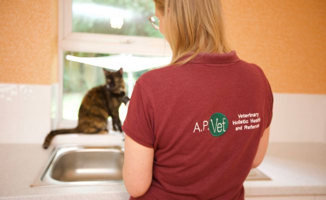 A. P. Vet