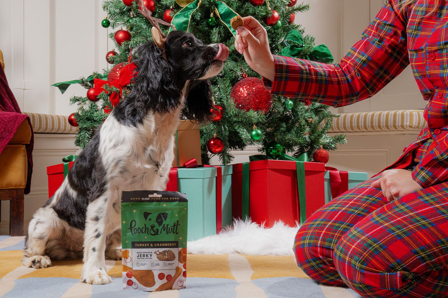 Lovely pup enjoys some Pooch and Mutt Christmas Treats