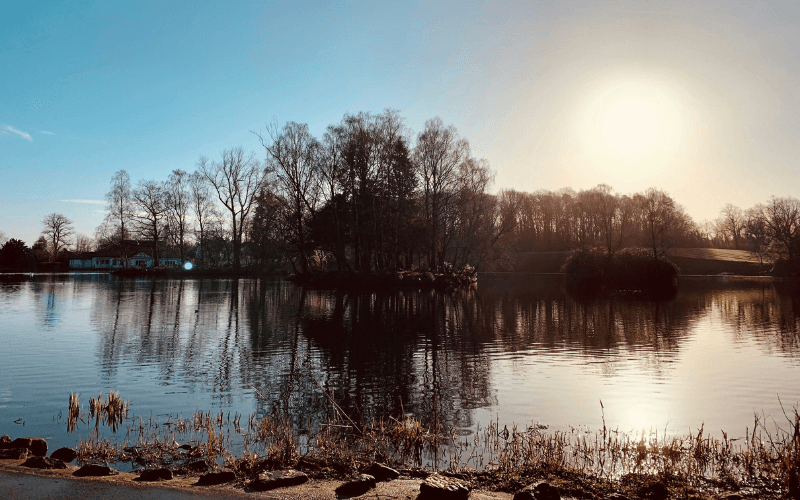 Rouken Glen Pond, Glasgow by Phil Reid