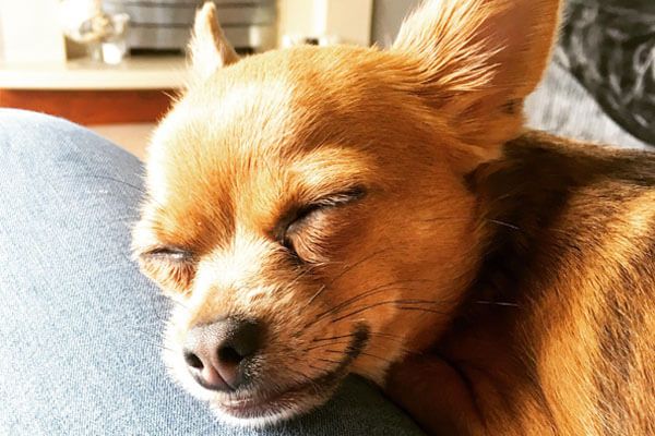 Text to speech not available for this image