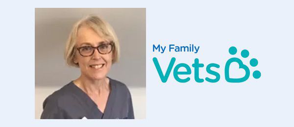 Joanne Patrick, My Family Vets