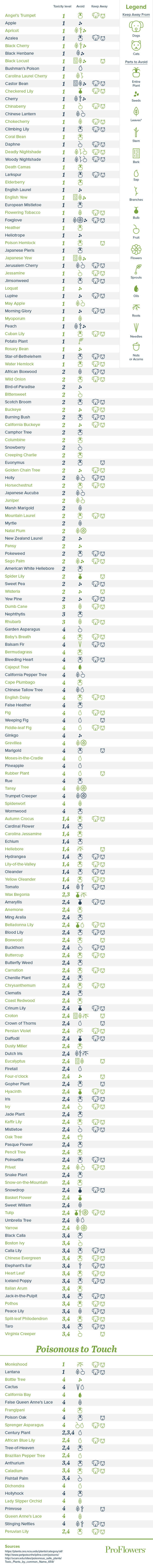 Text to speech not available for this image