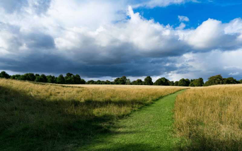 Phoenix Park in Dublin, by  Michalis Mantelos