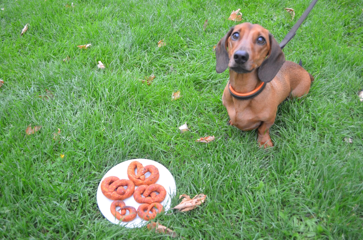 Text to speech not available for this image