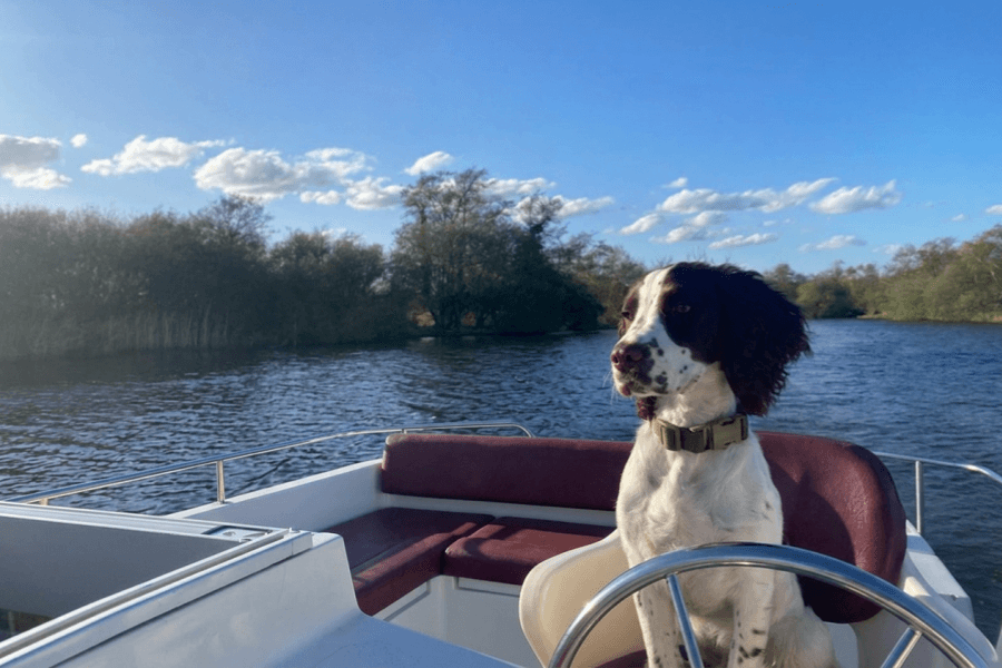 Oscar on a boat