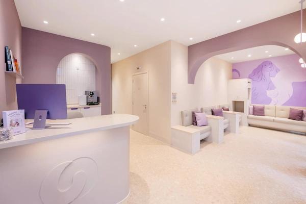 Creature Comforts Clinic Balham