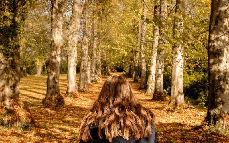 Pollok Country Park, Glasgow by Grant Elliot
