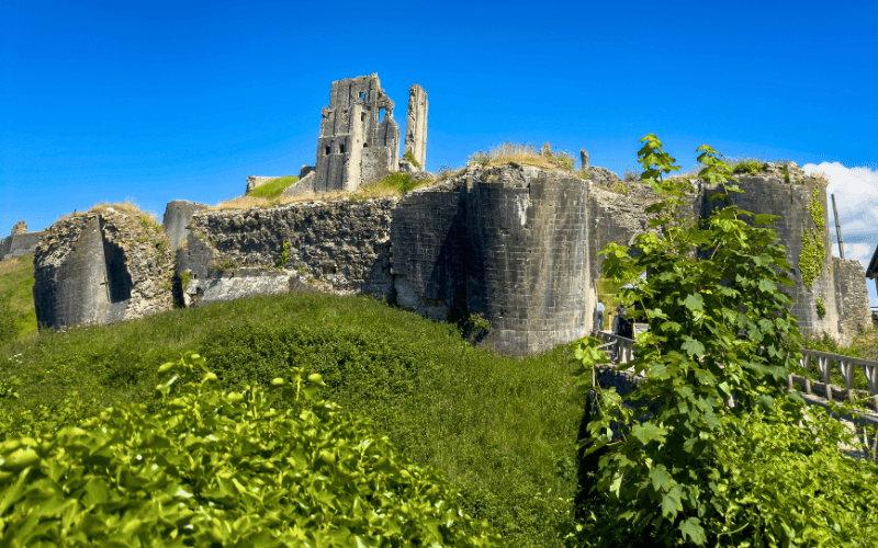 Corfe Castle, Dorset - Photo by Bill Eccles on Unsplash