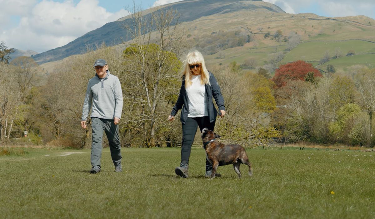 Two people and a chocolate brown dog are enjoying a walk in beautiful countryside