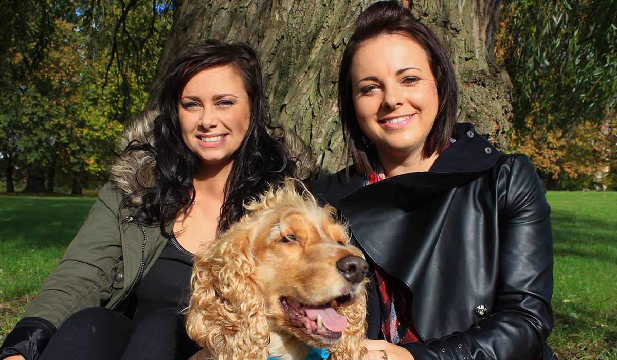 Leo is in the foreground, living up to his name he has long, golden fur