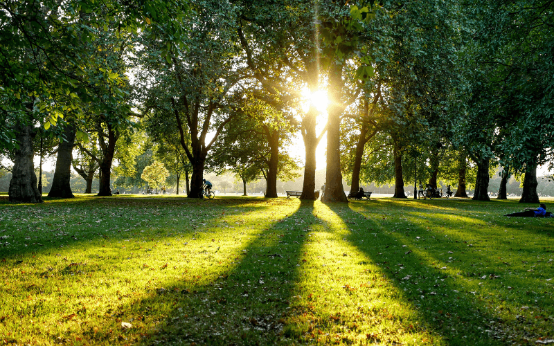 Hyde Park, London - Photo by V2F on Unsplash