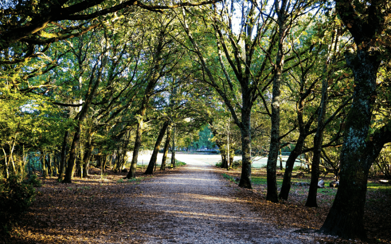 Photo by Liam Charmer on Unsplash