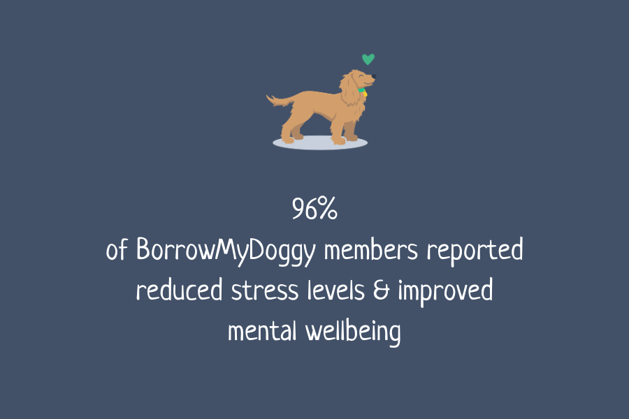 96% of BorrowMyDoggy members reported reduced stress levels & improved mental wellbeing