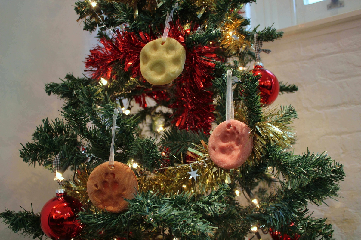 Text to speech not available for this image