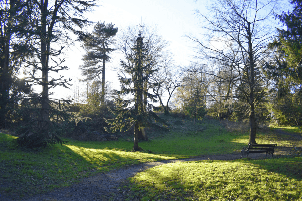 Cuerden Valley Park, Preston - By Andrew Hall