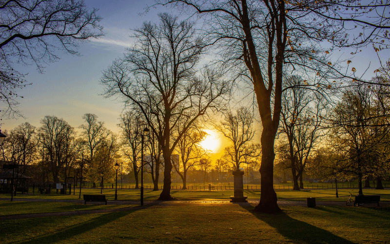 Houndwell Park - MangoPear Creative - Unsplash