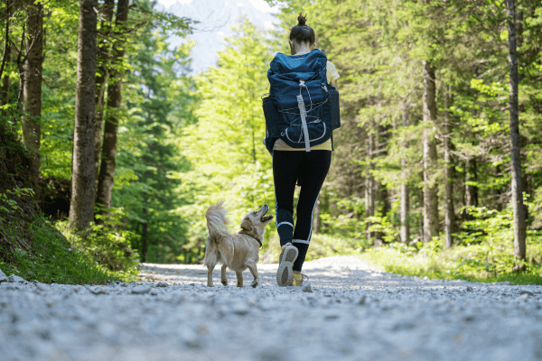 Woman walking with dog and bag
