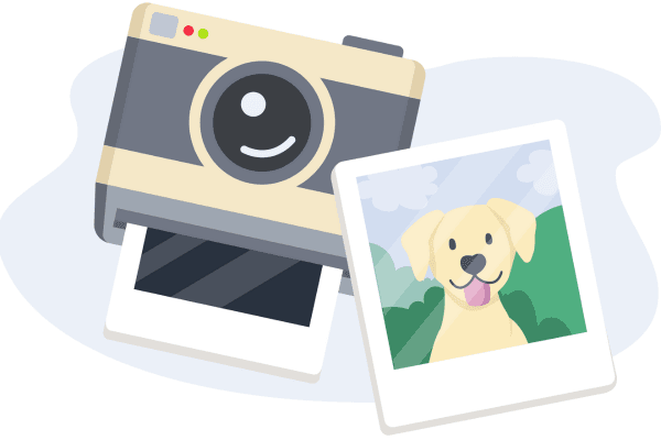 Dog friendly days out