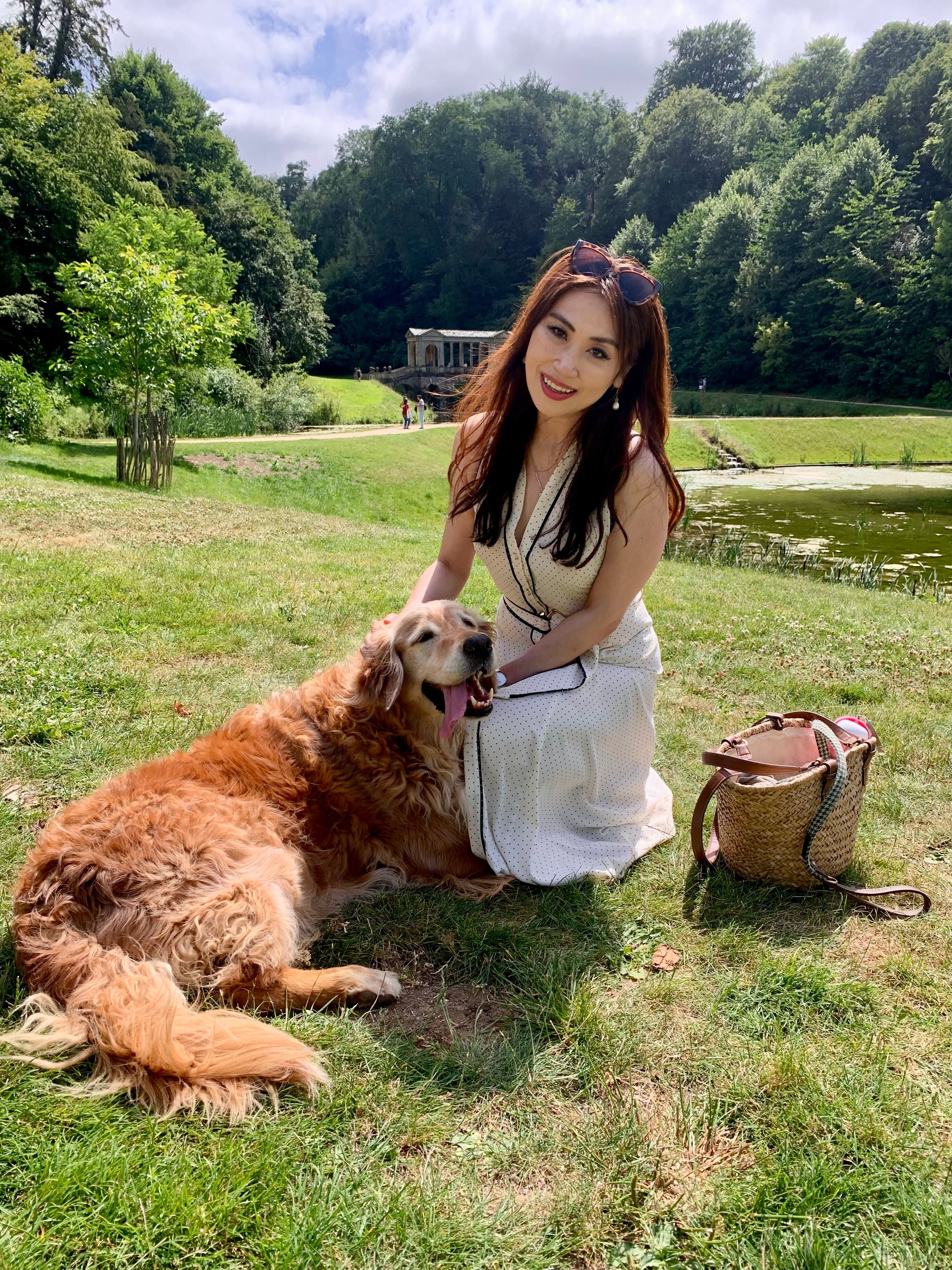 Maxine and Stanley the Golden Retriever