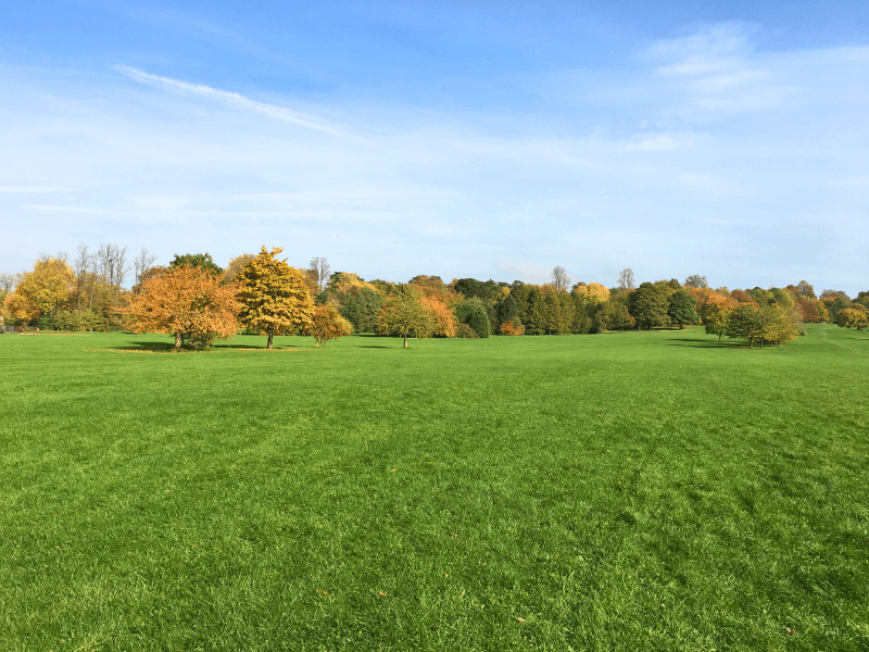 South Park, Oxford