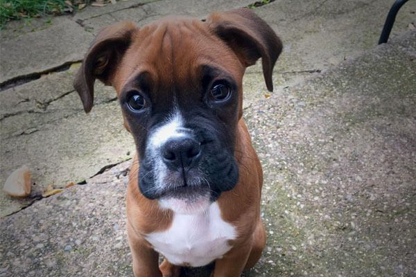 Text to speech not available for this image